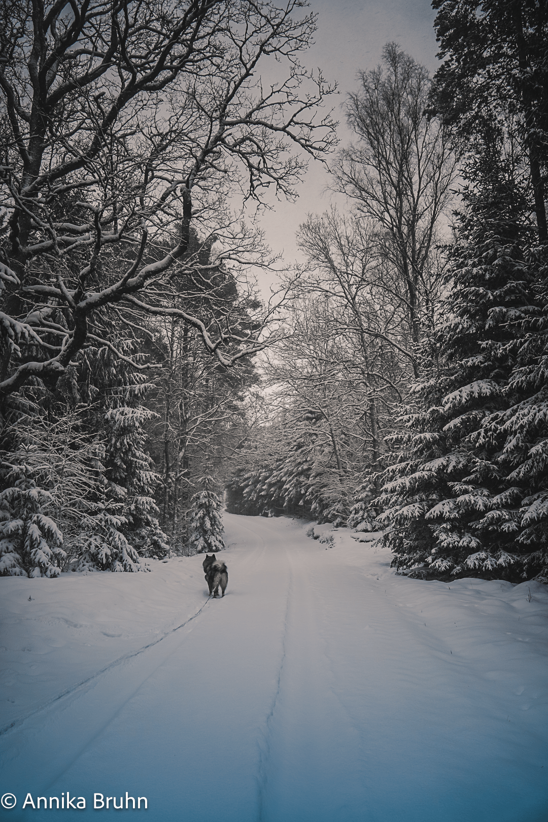 Die Gegend im ersten Schnee erkunden